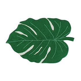 Catifa rentable Monstera